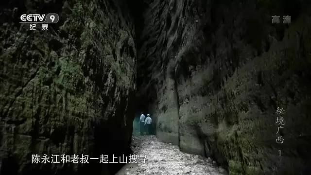 忽然，想去廣西了。 旅遊 第73張