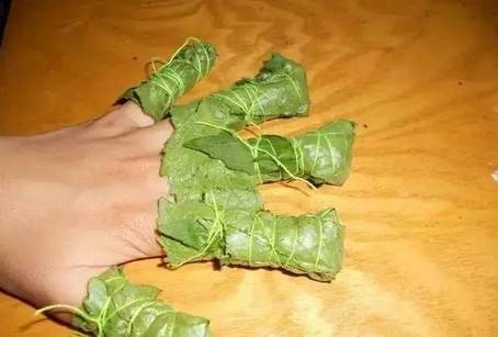 怀念武威姑娘子,还记得小时候包过的海娜花指甲?