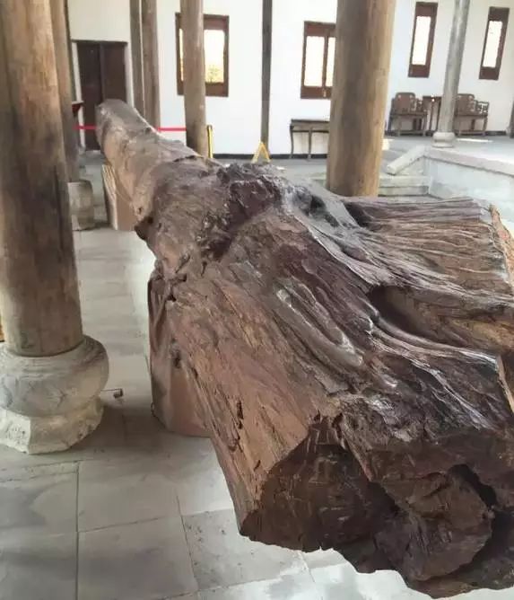 什么木头，一根价值2个亿