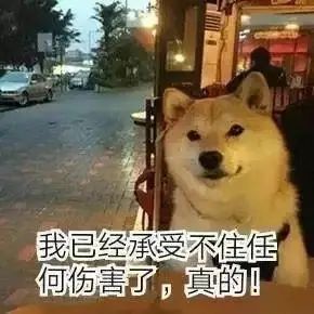 山东三胎奖励20万_山东省奖励产假_山东省级企业技术中心奖励