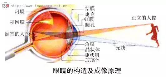 最全的 弱视防治 问答