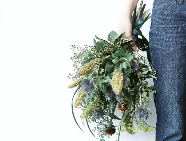 即便是一枝草，也能美得让人惊艳