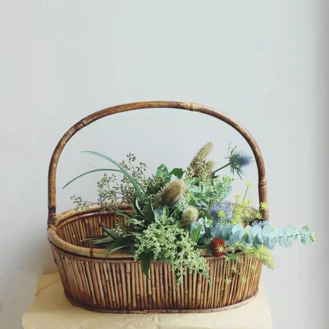 即便是一枝草，也能美得让人惊艳