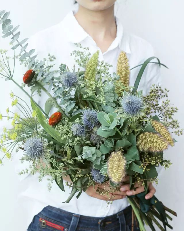 即便是一枝草，也能美得让人惊艳