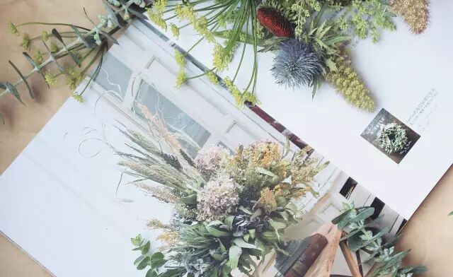 即便是一枝草，也能美得让人惊艳