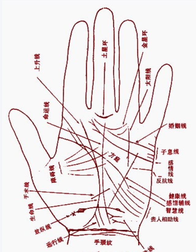 值得托付终身的男人手相