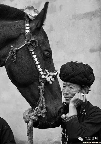 2014年起,增设3名入围奖,获奖者分别是:陕西-g4感悟《马帮》北京-汇翠