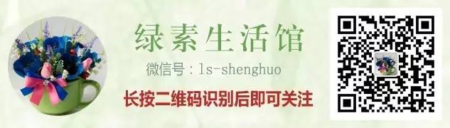 美味多汁的小笼包原来是这样做出来的!
