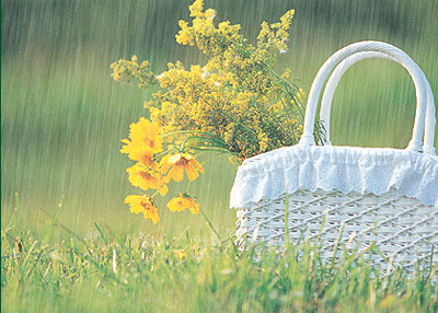 我们都从一个爱笑的人， 变成一个不敢哭的人......