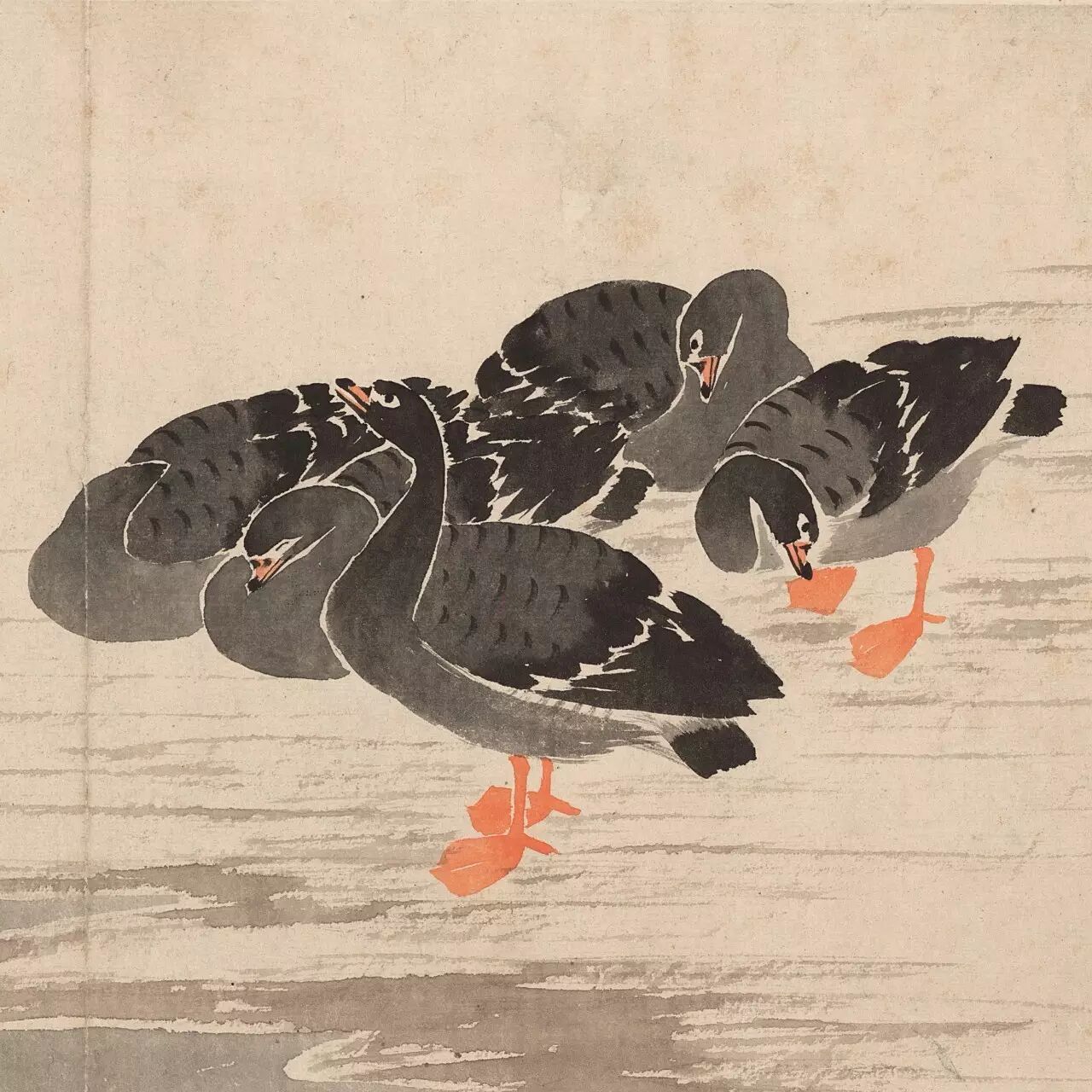 边寿民芦雁图册画雁分明见雁鸣缣缃飒飒获芦声