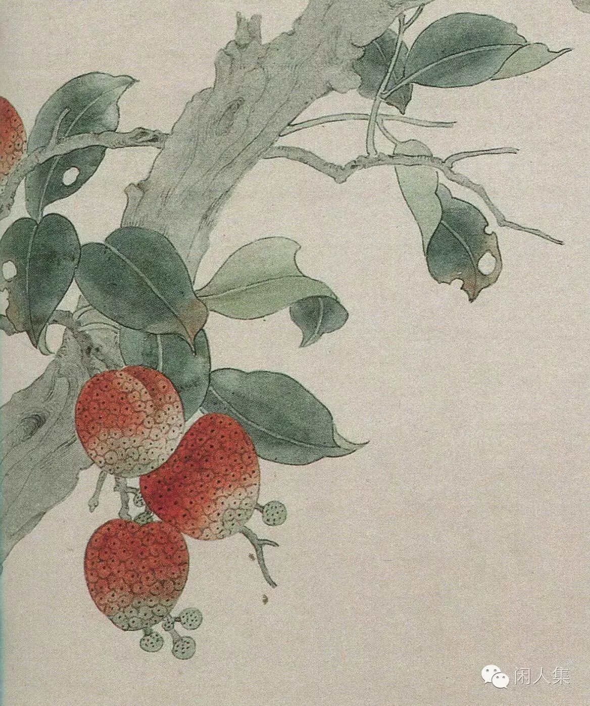 技法图典菜类瓜类荔枝枇杷葡萄石榴桃类