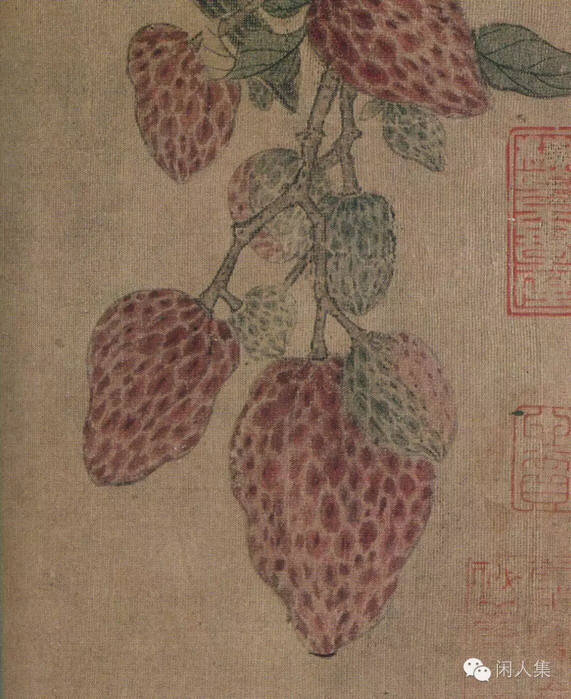技法图典菜类瓜类荔枝枇杷葡萄石榴桃类