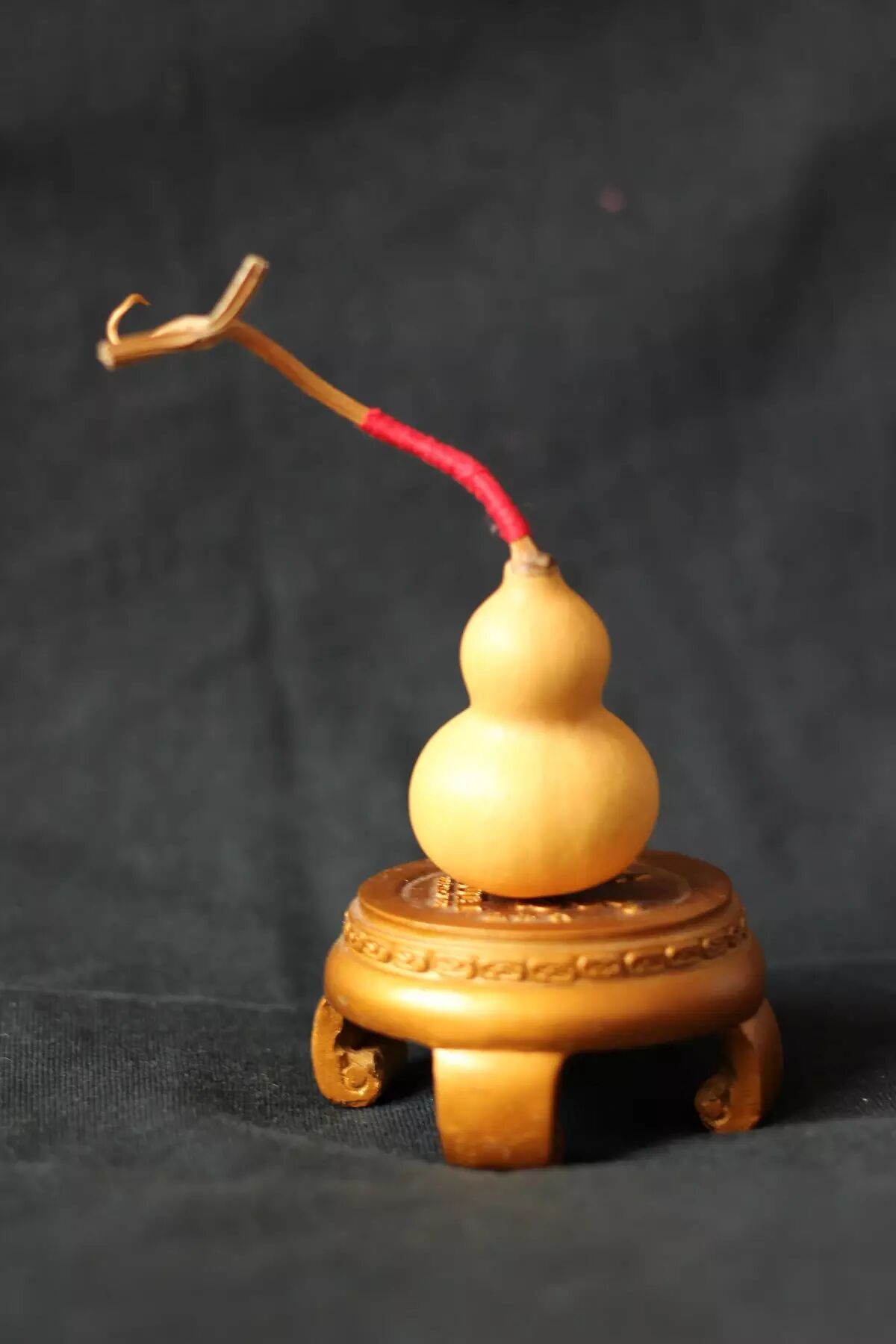 现在才知道小葫芦竟是化解煞气的法宝