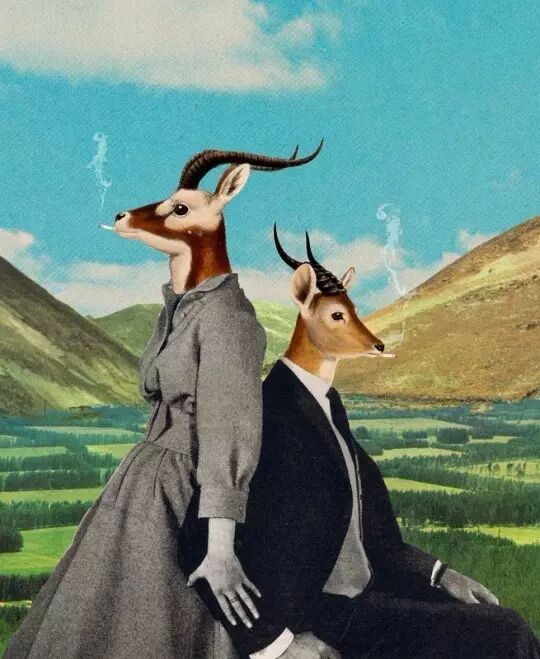 蒙太奇手法拼贴中的艺术语言