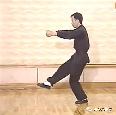 特别推送八极拳小架顶心肘 实战八极拳 微信公众号文章阅读 Wemp