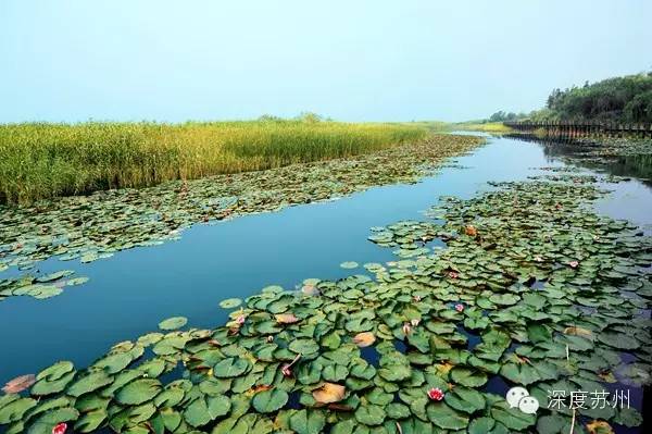 除了園林，來蘇州一定要去的15個打卡地！ 旅遊 第32張