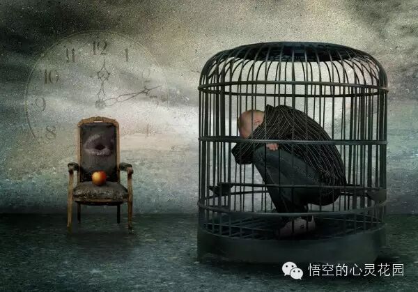 冯仑选择就是放弃自由就是枷锁