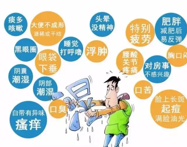 泰國的東西就是牛，1貼逼走濕氣、寒氣，改善睡眠 緩解疲勞 健康 第2張