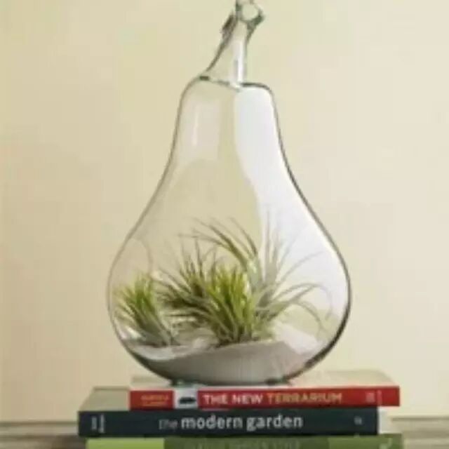 【创意生活】7种旧物改造花盆的办法，让家绿意常在，更美！