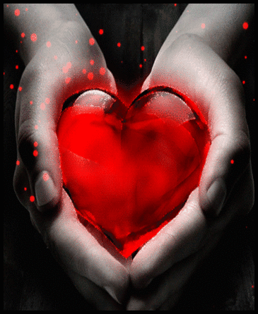 动起来了的花朵快收了吧