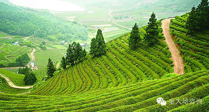 【政策】关于印发《2016年农业综合开发林业项目申报指南》的通知