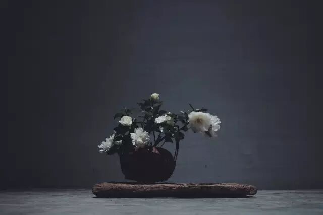 茶室插花，多几分幽静之美，耐人寻味