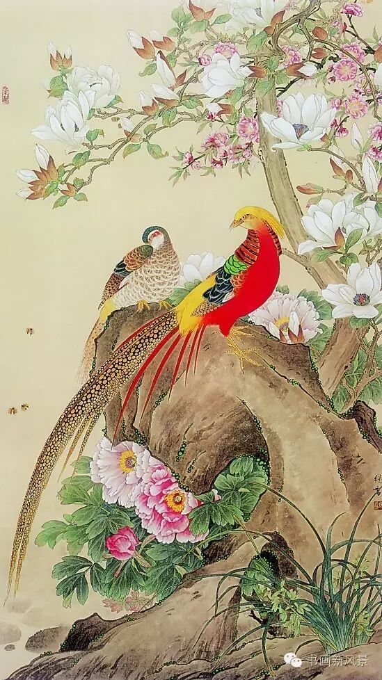 唯美国画:玉兰花儿开