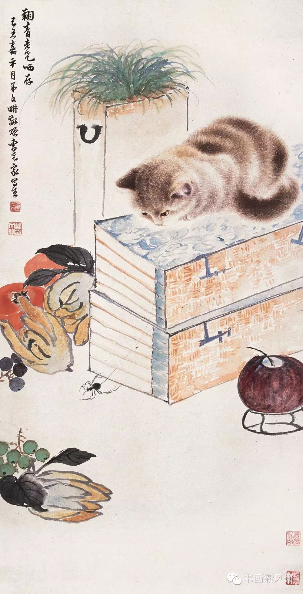 他画的猫咪好可爱!