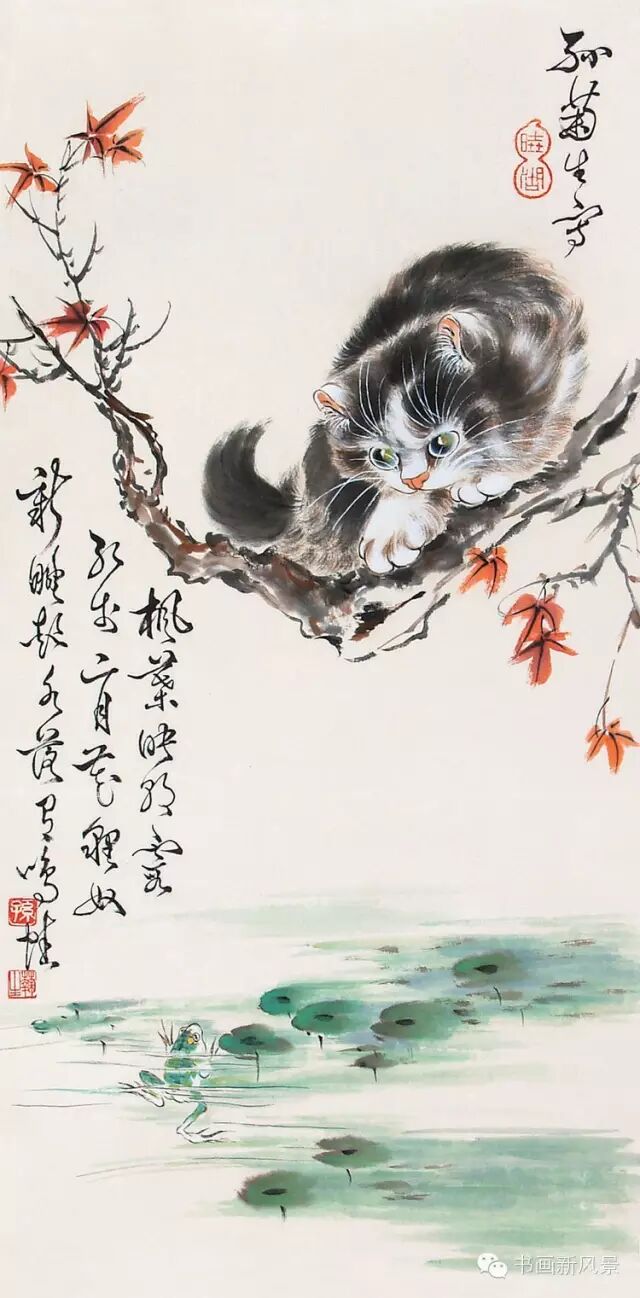 孙菊生老先生画的猫咪可真逗