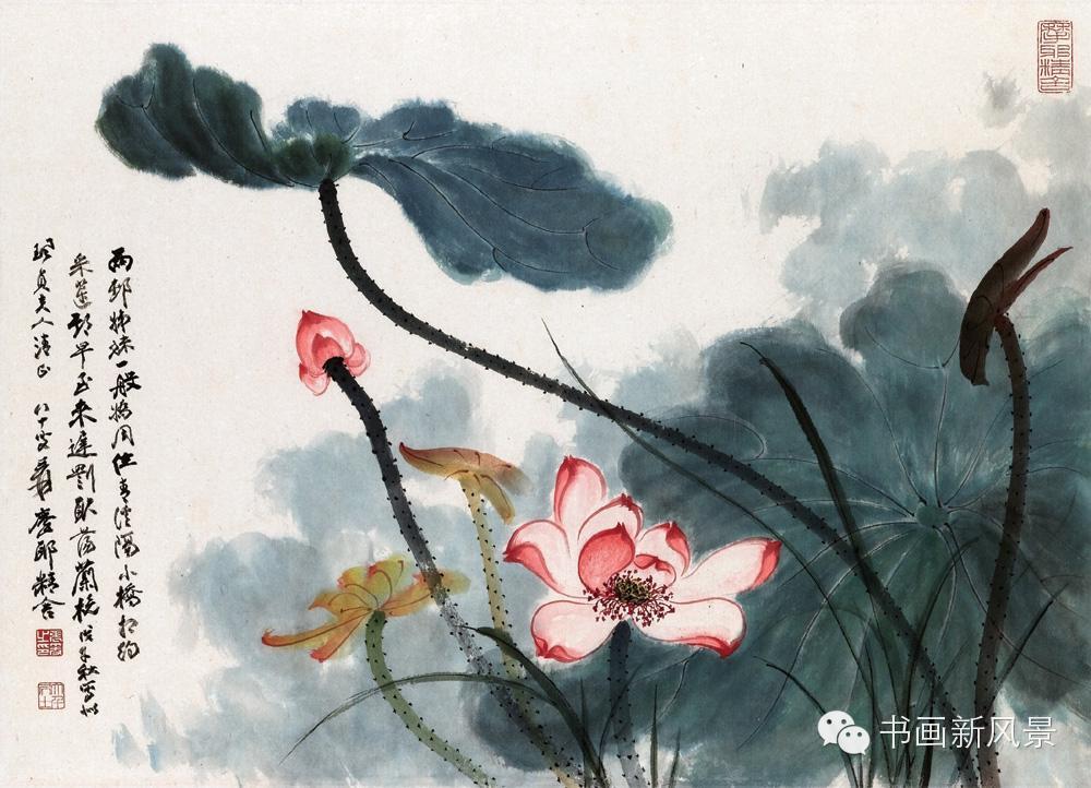 泼墨泼彩大师张大千笔下的泼墨泼彩荷花