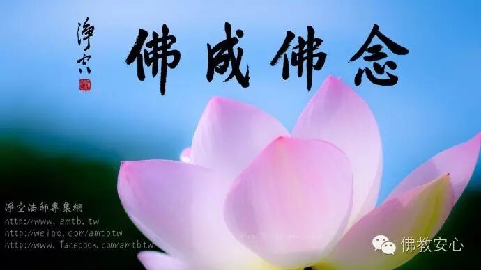 一心称念阿弥陀佛,坐着往生!【昌诵法师往生纪实】