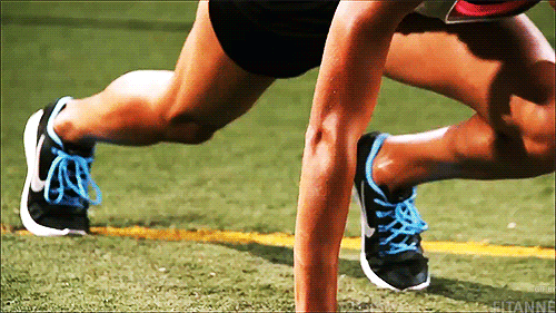 500_281gif 动态图 动图