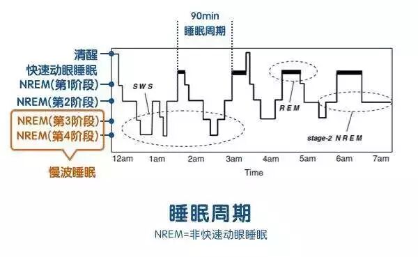 研究发现，生酮饮食疗法能提高 GLUT1DS人群生活质量和改善睡眠