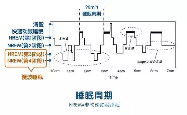 研究发现,生酮饮食疗法能提高 GLUT1DS人群生活质量和改善睡眠 研究发现,生酮饮食疗法能提高 GLUT1DS人群生活质量和改善睡眠