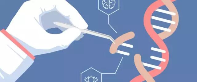 研究发现，生酮饮食疗法能提高 GLUT1DS人群生活质量和改善睡眠