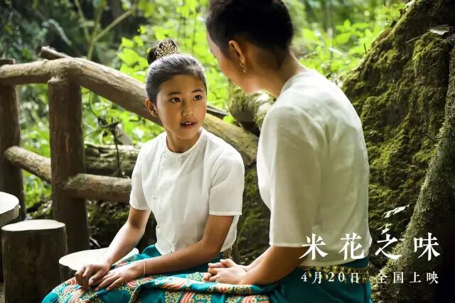 年度动人催泪 难怪张译姚晨这么喜欢 自由微信 Freewechat