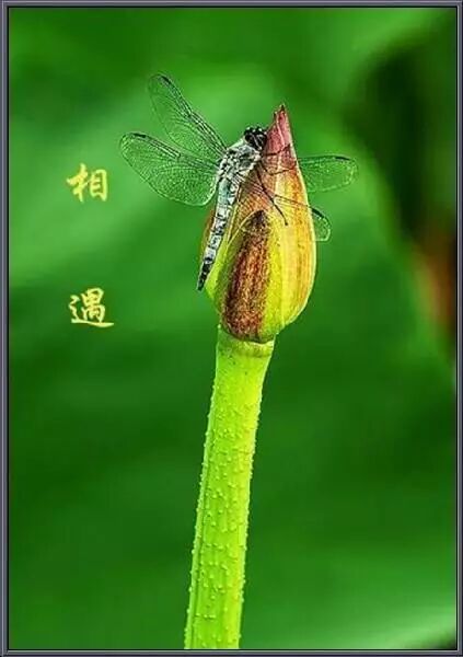 相遇相识相知相契