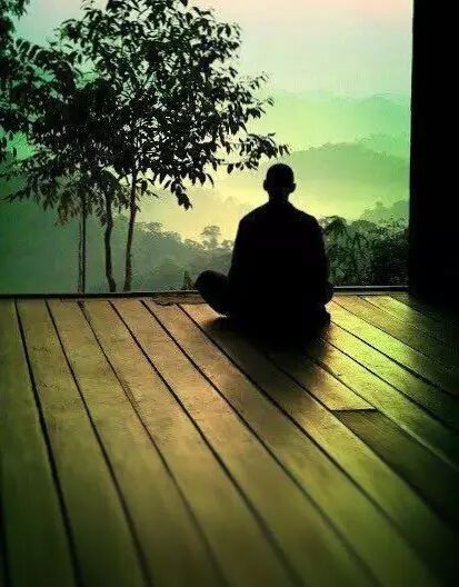 阴瑜伽密集培训与静修(2017四月东天目山)