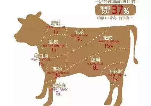 胸肉,帕肉,牛腩吊龙肉,时皮肉,牛颈肉内梅肉,胸口油,牛舌头五花趾,牛