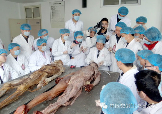 全国第237届学员参加尸体解剖微创入路课程