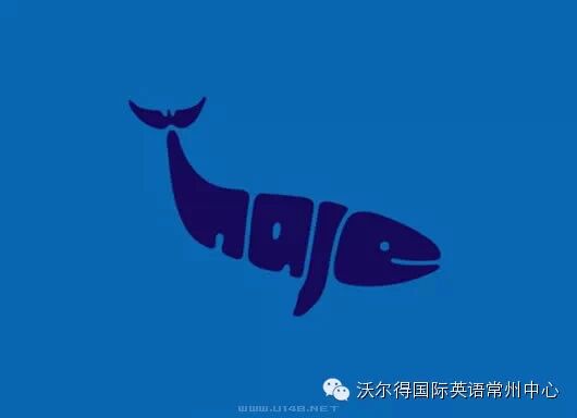 whale「鲸鱼」