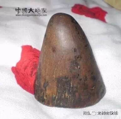 五种犀角的结构与区别