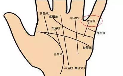 手掌图解男左女右_手掌图解男性_手掌痣相图解男