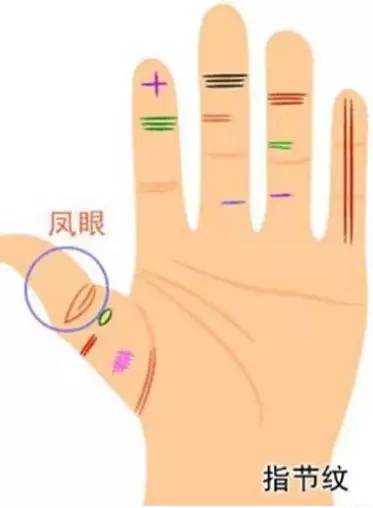 手掌痣相图解男_手掌图解男左女右_手掌图解男性