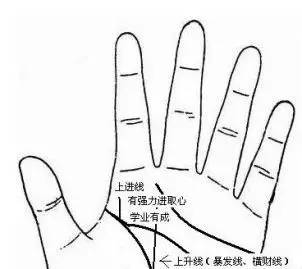 手掌图解男左女右_手掌图解男性_手掌痣相图解男