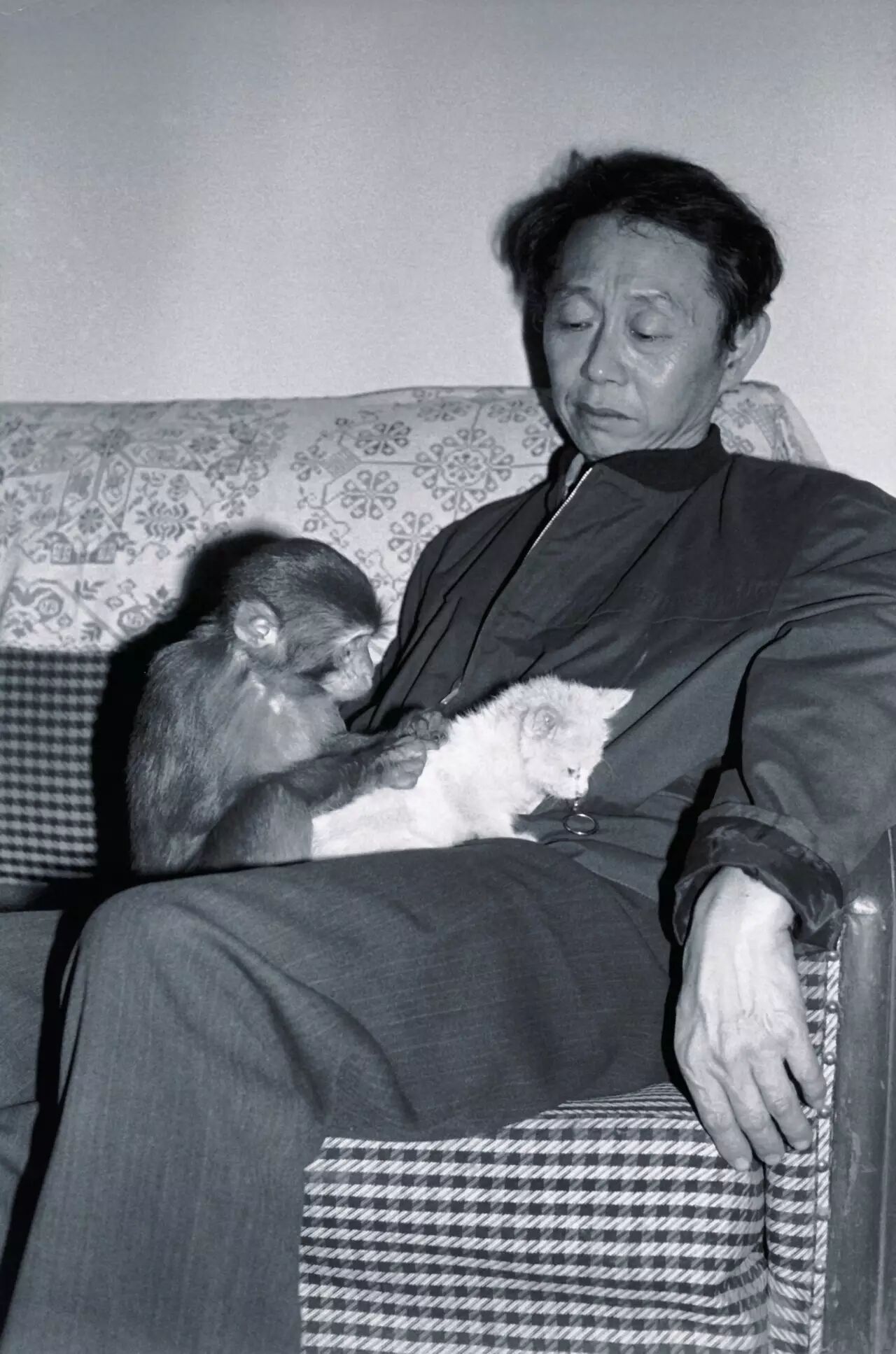 李辉九旬老头黄永玉与猴之缘妙不可言