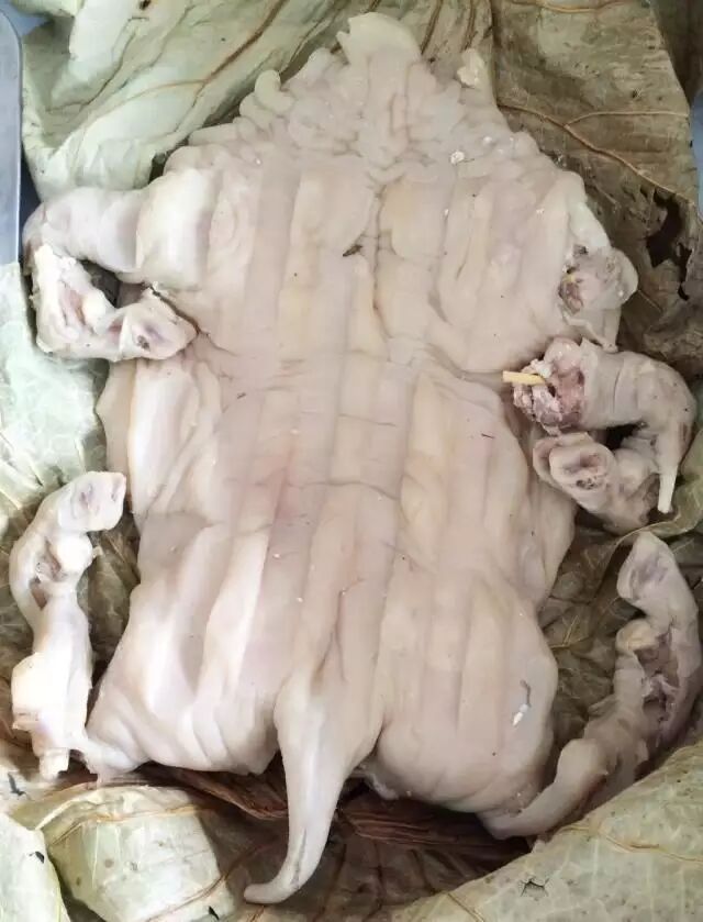 羊肉来自绍兴上虞道墟镇上的联江村,采用当地15斤到20斤左右的小山羊