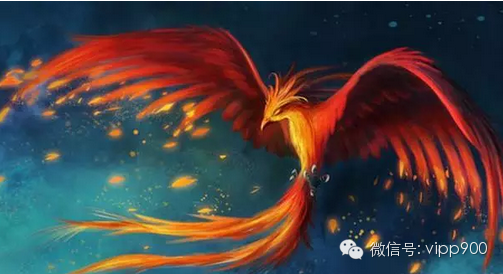 梦见凤凰是什么意思?