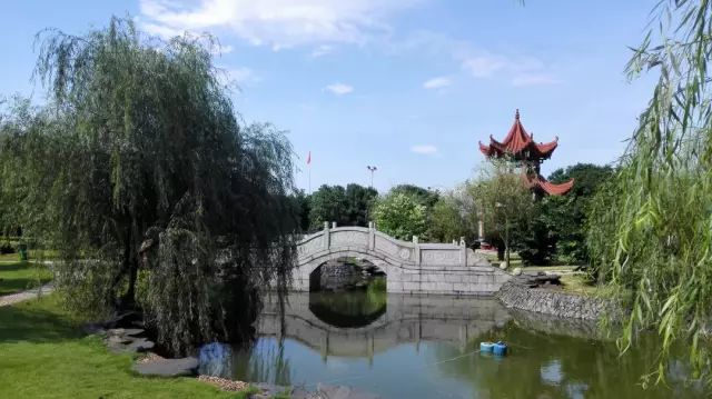 岳麓区实验中学高考升学率_岳麓区实验中学录取线_岳麓实验中学录取线