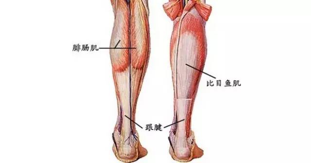 腳跟痛到底是怎麼回事